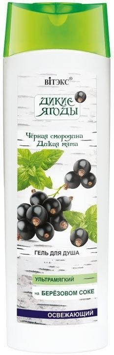 Черная смородина и Дикая мята Витэкс, 470 мл фото 1 &mdash; TD-EX.RU