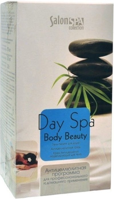 Набор для тела DAY SPA BODY BEAUTY SALON PROFESSIONAL фото 1 &mdash; TD-EX.RU